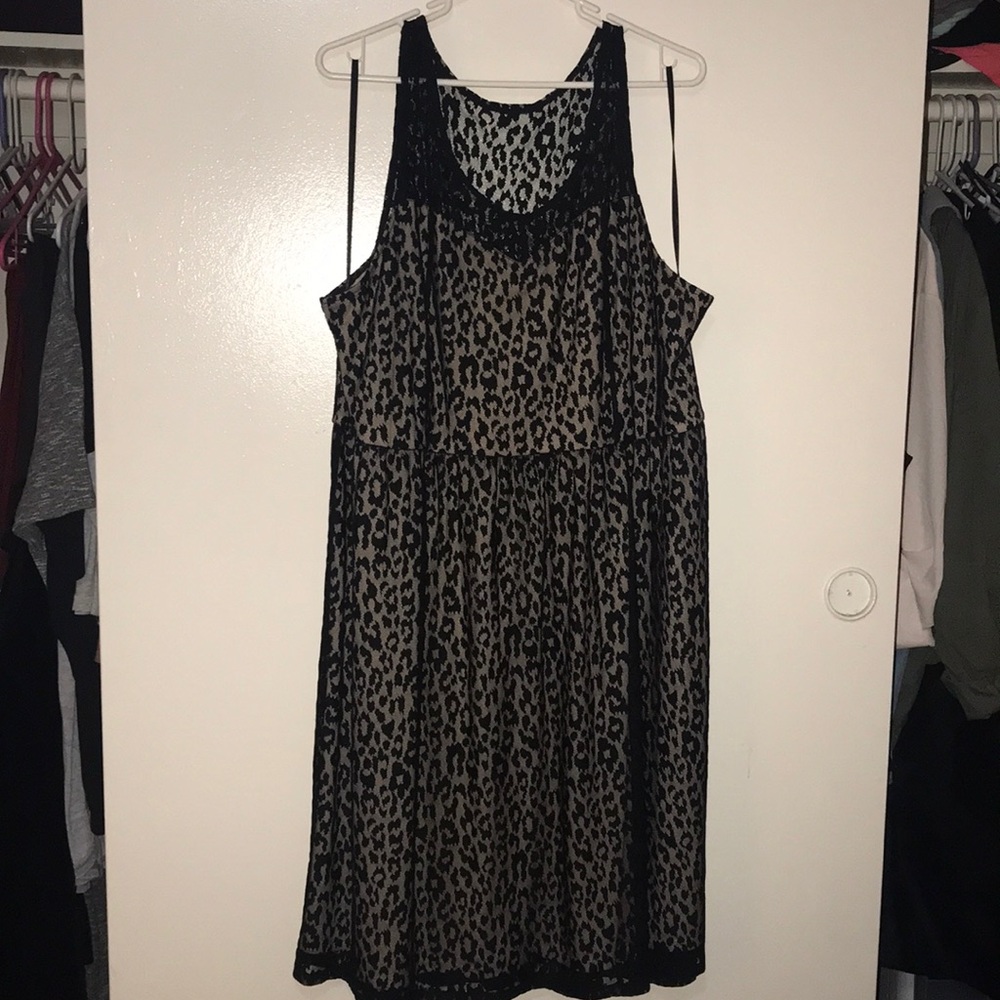 Leopard lace dress